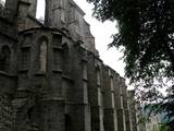 Burg- und Klosteranlage Oybin