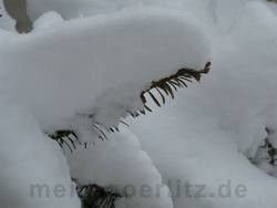 Winter in G�rlitz